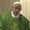 Mensaje del papa Francisco SJ, 23 de enero, 2023