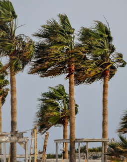 Salud Pública advierte de riesgos que ocasiona ``ciclón bomba``