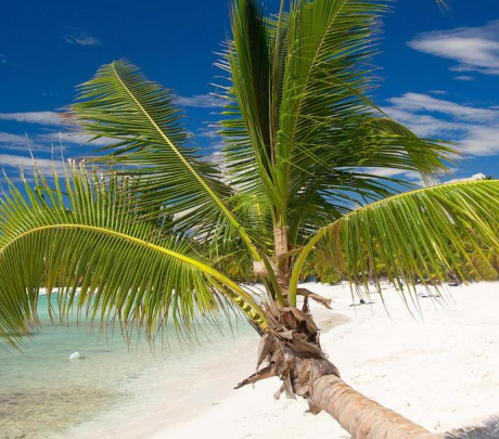 Más de 400 playas y balnearios estarán disponibles para uso en Semana Santa 2026