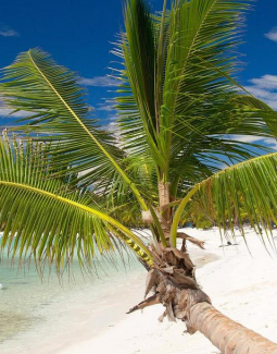 Más de 400 playas y balnearios estarán disponibles para uso en Semana Santa 2026